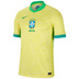 Nike  Brazil Soccer Jersey (Home 24/25)