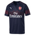 Puma Arsenal Soccer Jersey (Away 18/19)